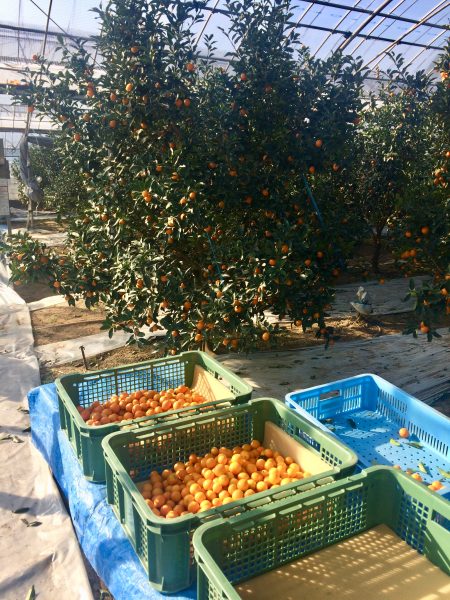 Photo 2018-01-06 14 57 55