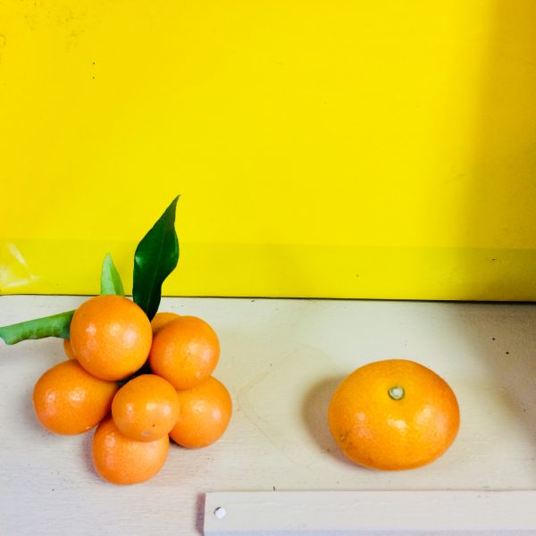 Photo 2018-01-06 15 13 21