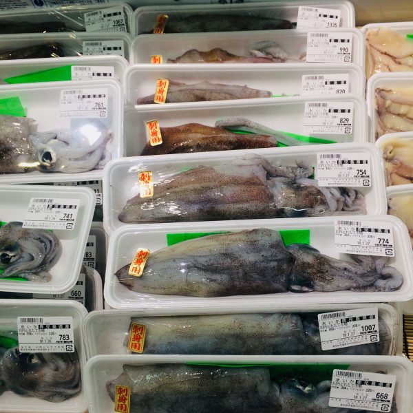 Photo 2018-01-27 10 09 44