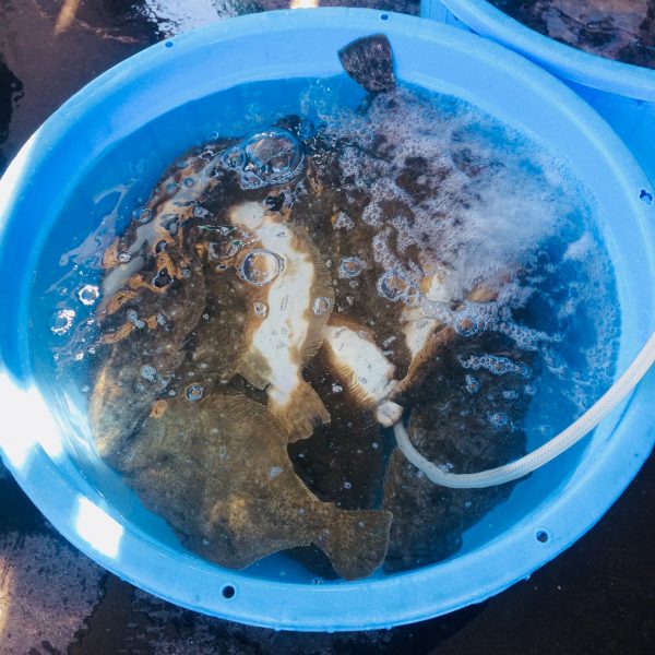 Photo 2018-01-27 10 11 19