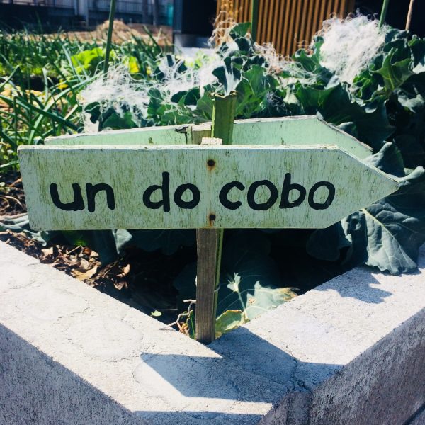 Photo 2018-02-17 12 30 09