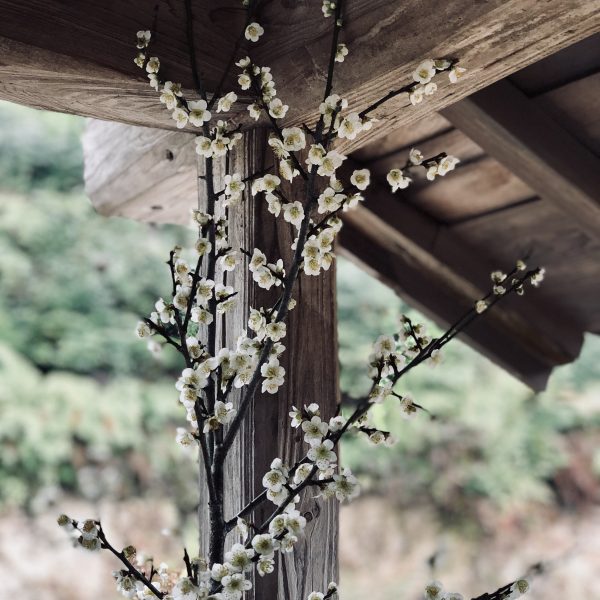 Photo 2018-03-03 15 17 08