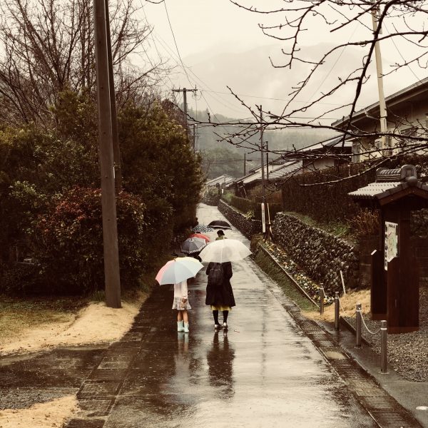 Photo 2018-03-03 15 19 02