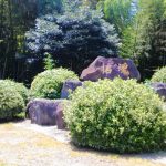 入来町八重地区リポート