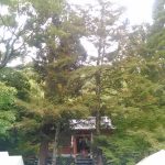 第6回東郷諏訪神社秋祭り
