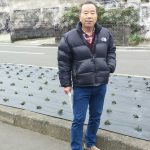 平佐西地区の芝桜