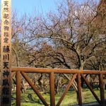 2017年冬の藤川天神参り