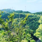 ＊２０１９年＊ゴールデンウィークイベント情報